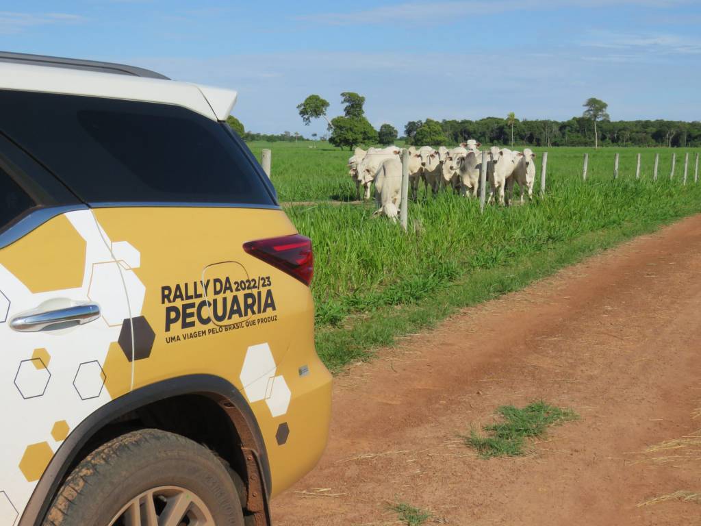 Rally Da Pecu Ria Apresenta Desempenho Da Pecu Ria Brasileira Sba